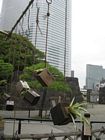 Tokyo - Hamarikyu garden