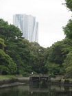 Tokyo - Hamarikyu garden