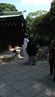 Tokyo - Yoyogi Park - Meiji Shrine