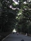 Tokyo - Yoyogi Park