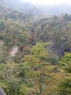 Nikko National Park - Kegon Falls