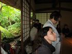 Fuji-Hakone-Izu National Park - Tea ceremony