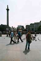 Trafalgar Square - Nelson's Column